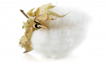 Tote bag : quel est le coton à privilégier ?