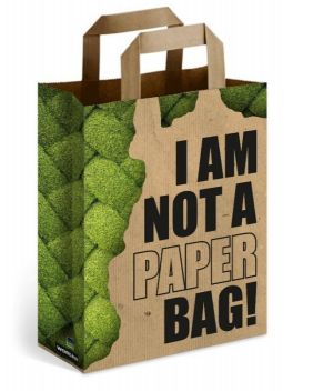 Sac kraft brun poignées plates