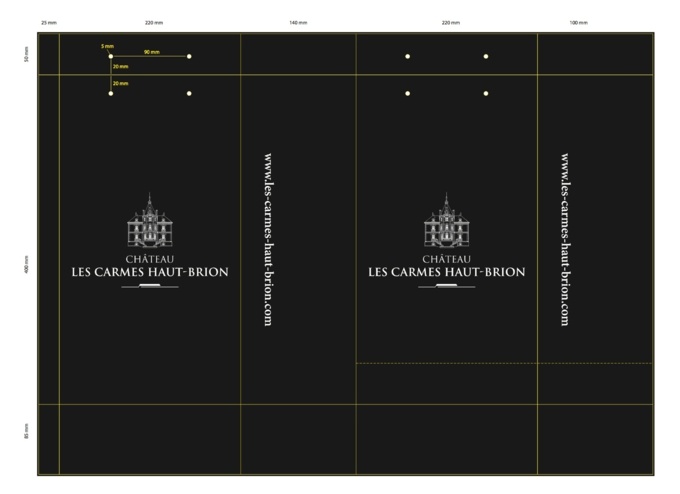 BAT chateau les carmes haut brion sac papier luxe bouteille de vin