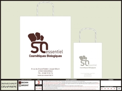 BAT sac kraft bio torsadées so essentiel