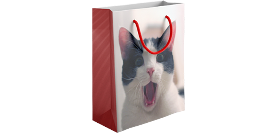 L’effet Waouh! grâce aux sacs personnalisés