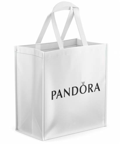 Sac Tissu Non Tissé (T.N.T)