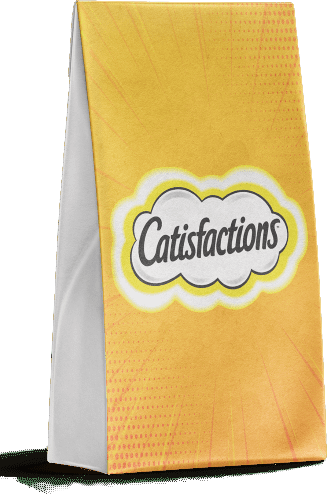 pochette en papier luxe catisfactions